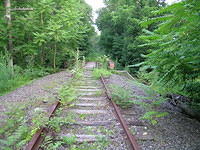 DSCN0947