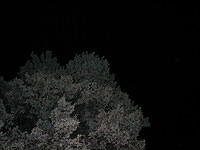 If the gun does not go off do not look down the barrel Lisa!