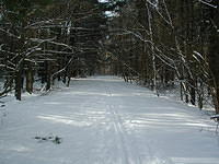 ValleyForge P1010069