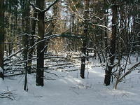 ValleyForge P1010070