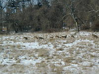 ValleyForge P1010072