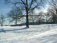 ValleyForge P1010063